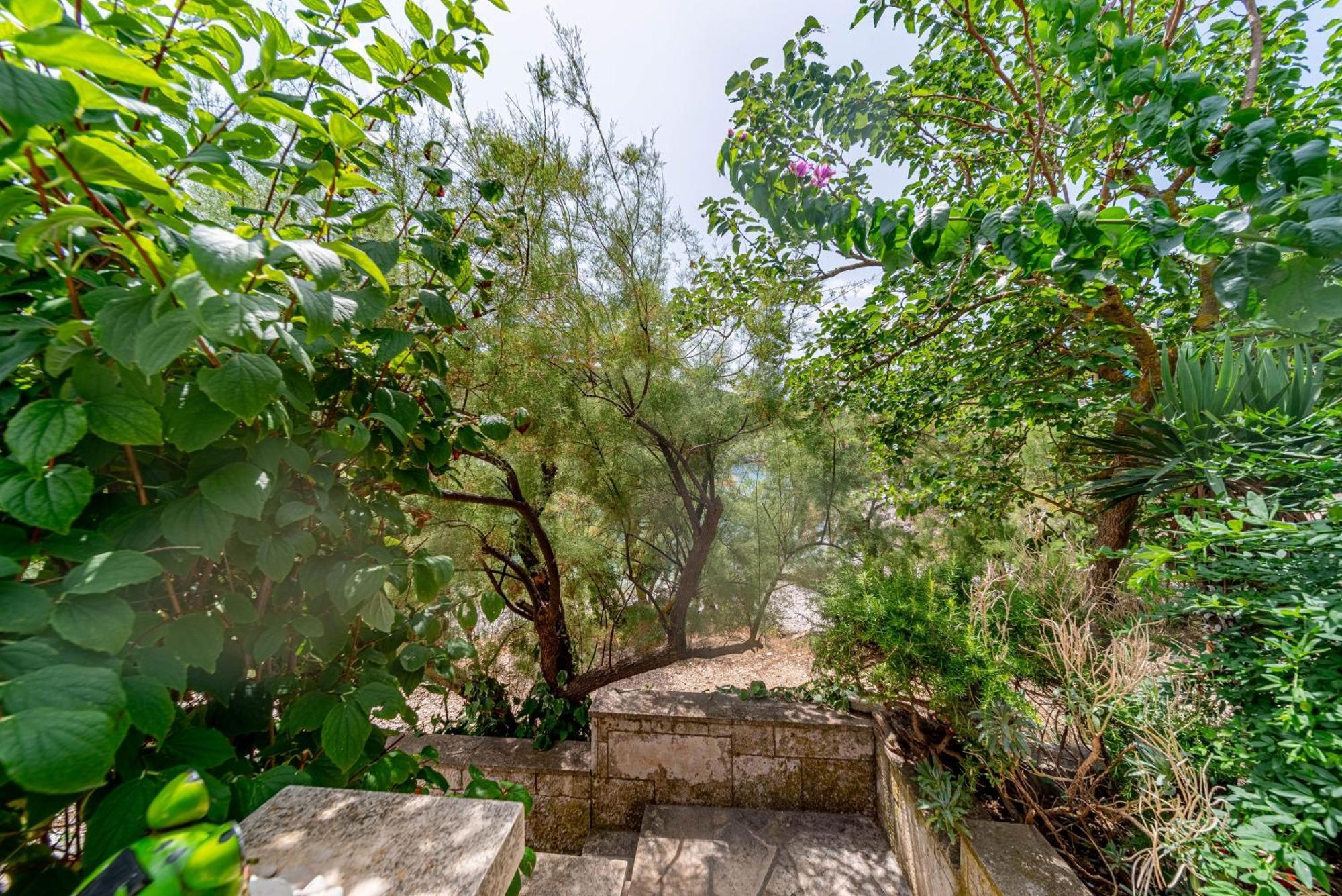 Seaside House For Families With Children Cove Rasohatica, Korcula - 4386 Лумбарда Екстер'єр фото
